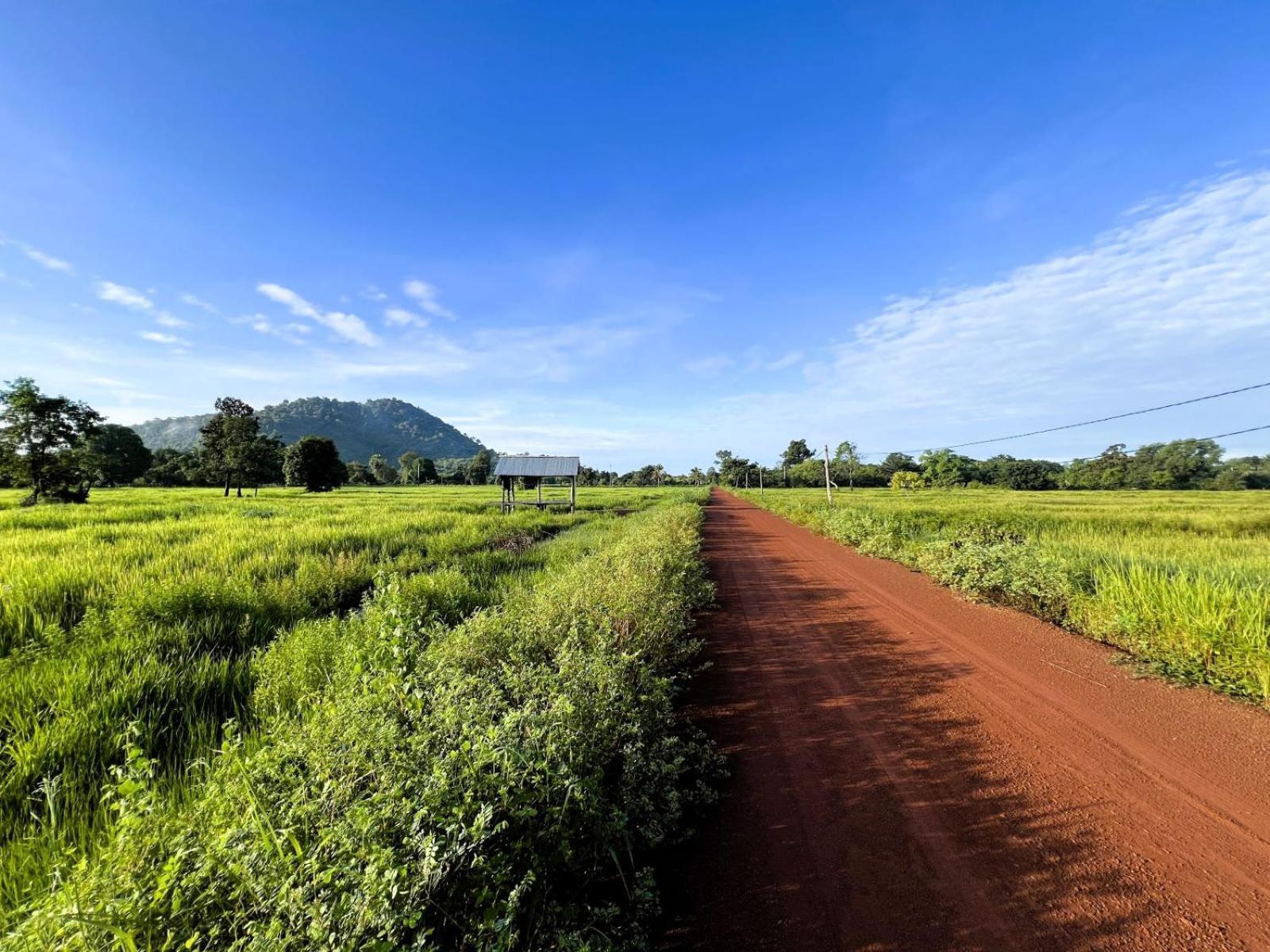 The Little Vegan Homestay Phumi Banteay Srei Esterno foto